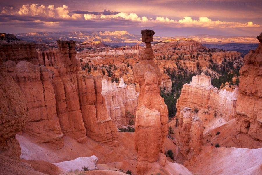 The Grand Canyon