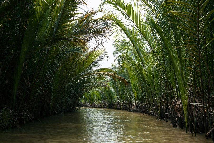 The Mekong Delta Tour
