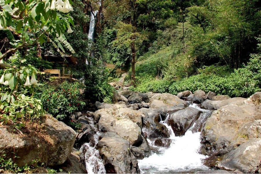 Banyu Wana Amertha Waterfalls