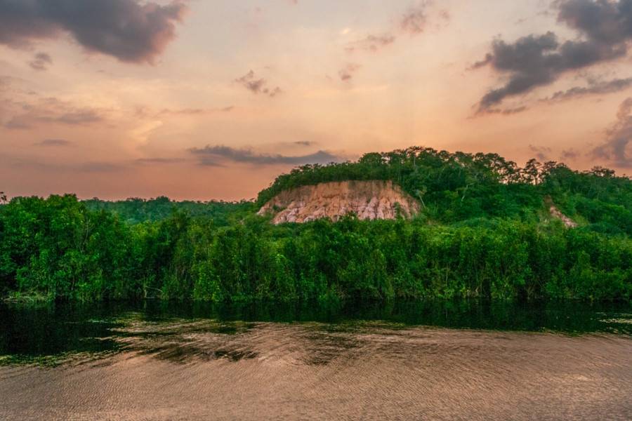 The Amazon