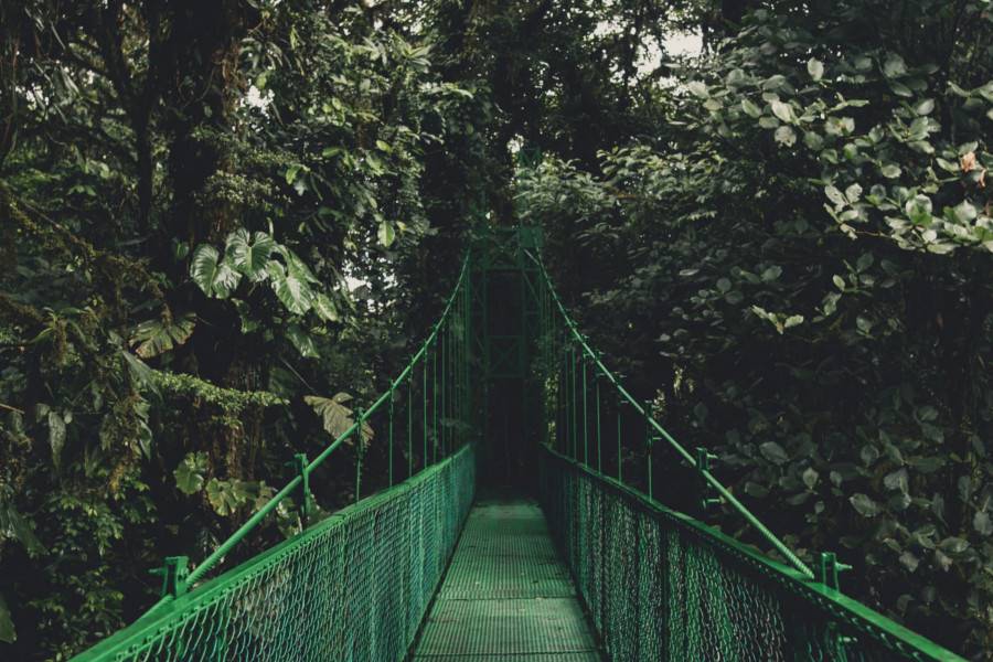 Monteverde