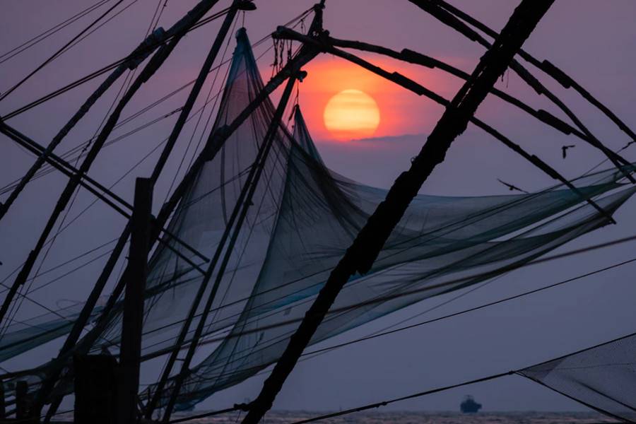 Chinese Fishing Nets