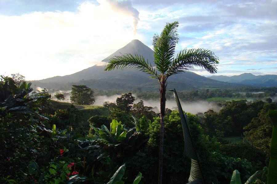 Arenal
