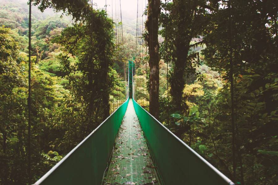 Monteverde
