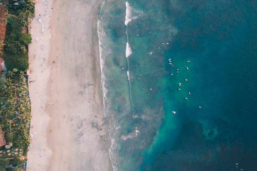 Tamarindo