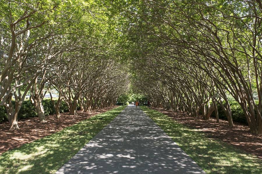 Dallas Arboretum