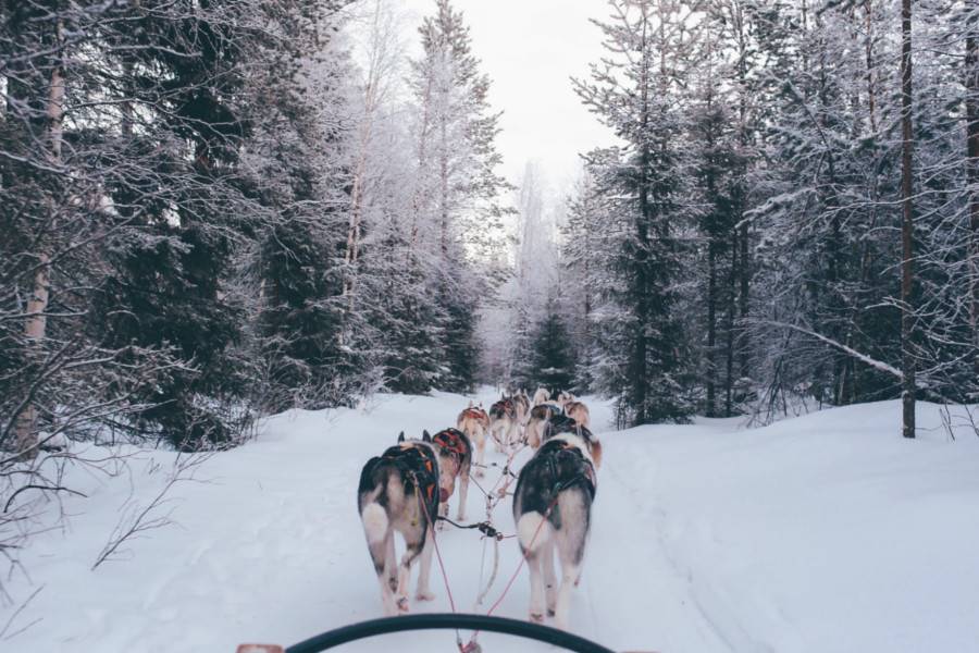 Rovaniemi