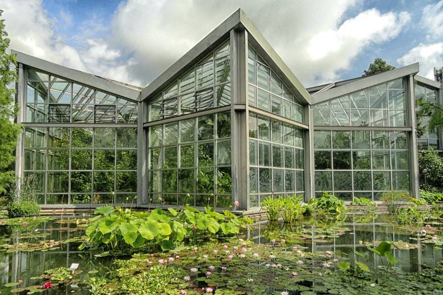 Palmengarten