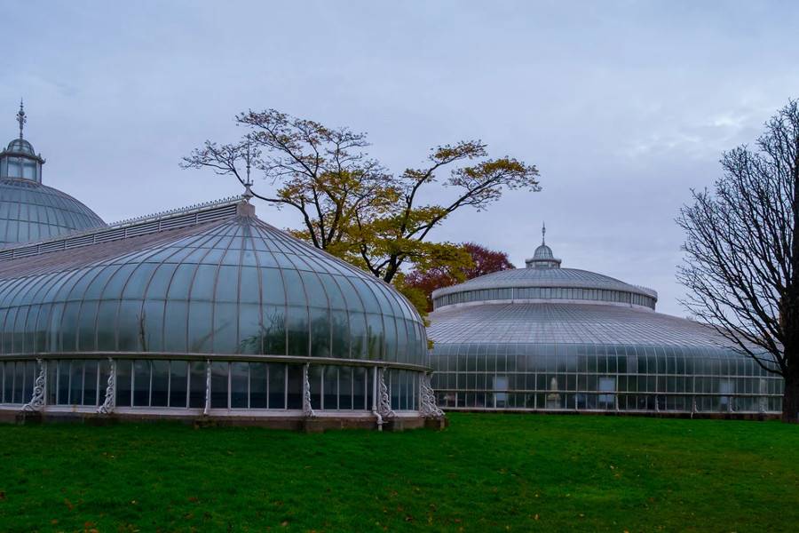 Glasgow Botanic Gardens