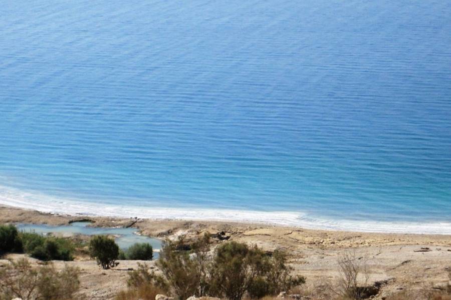 The Dead Sea