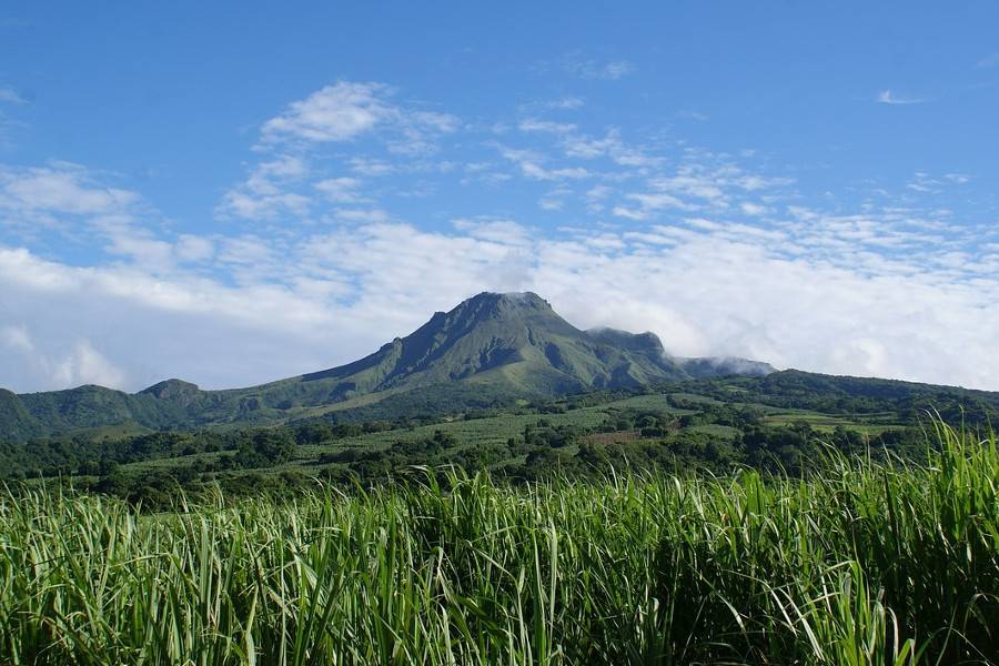 Mount Pelee