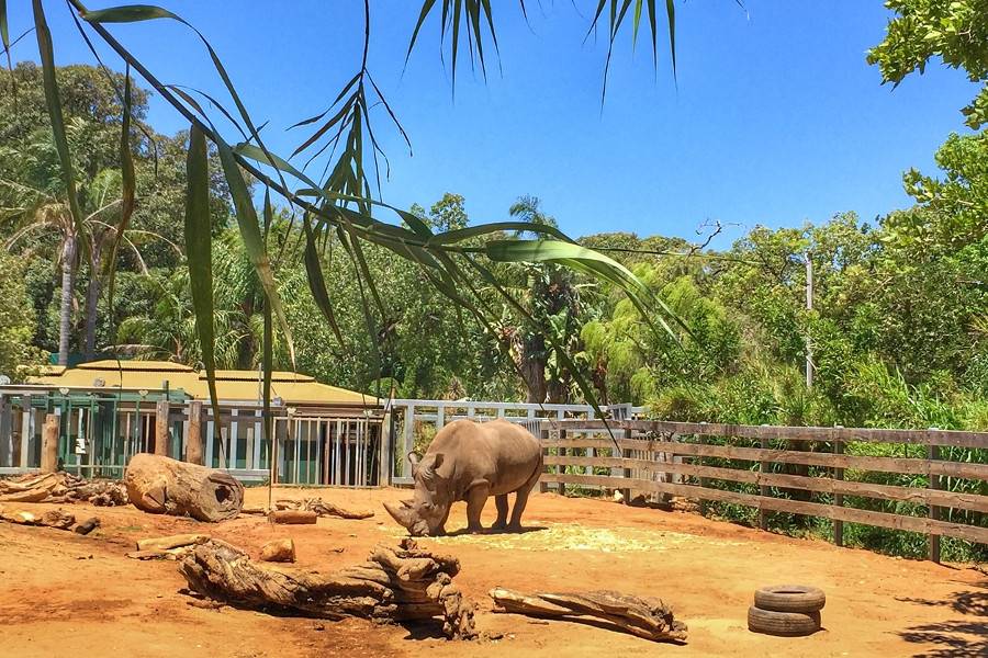 Perth Zoo