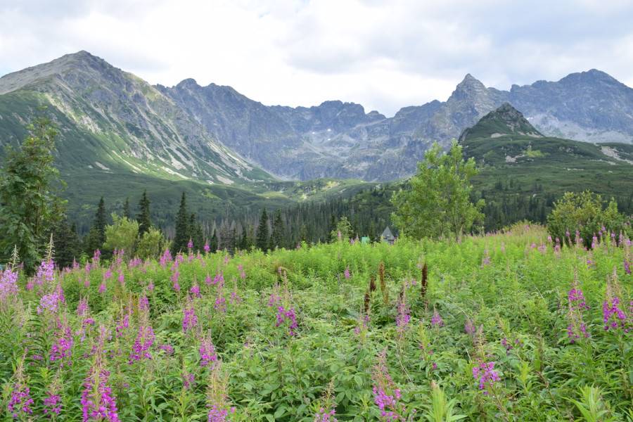 Zakopane