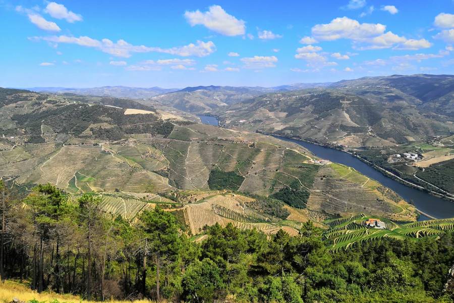 Douro Valley