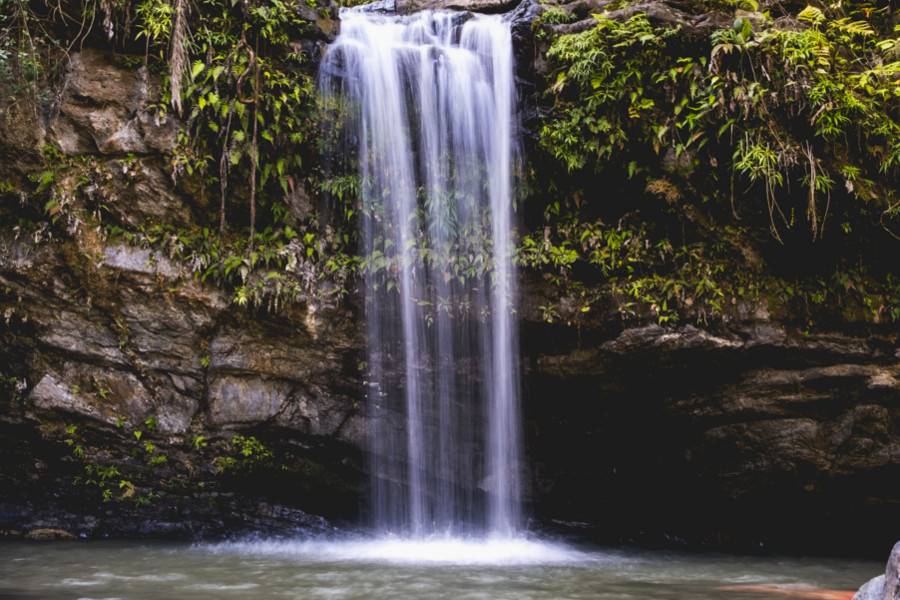 El Yunque National Forest