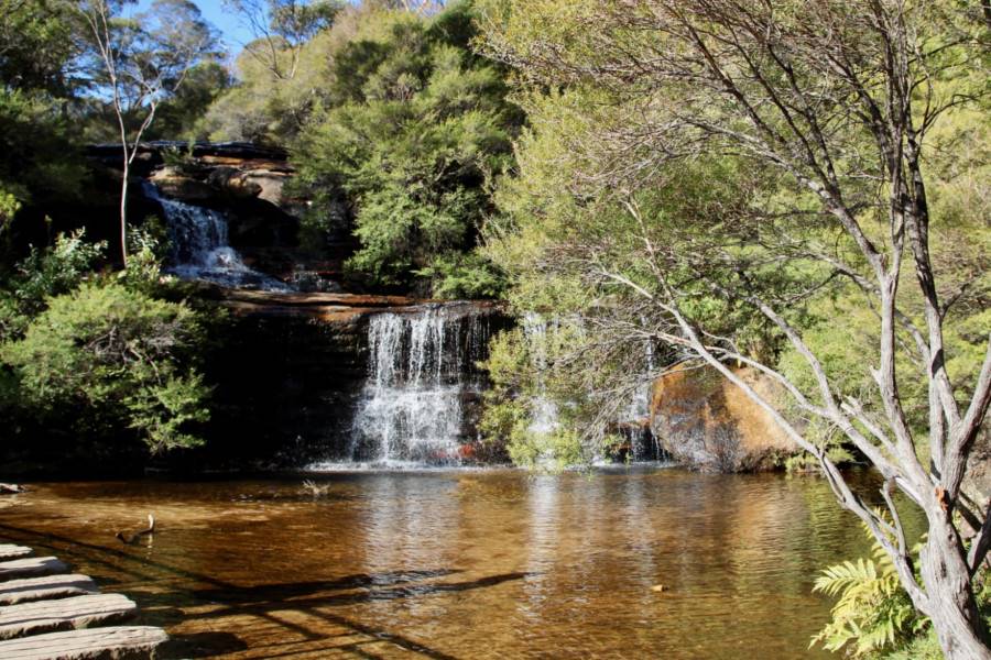 The Blue Mountains