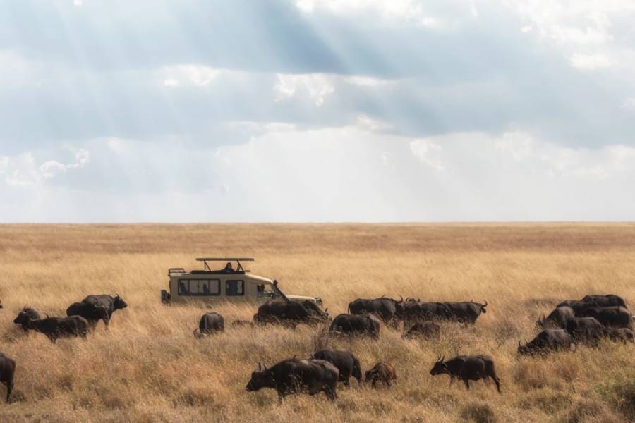 Serengeti National Park