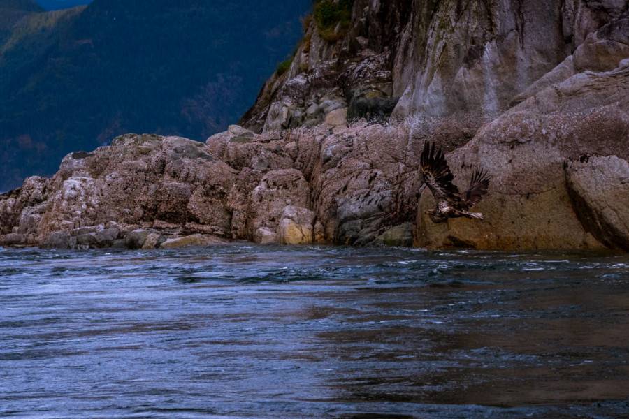 Vancouver Island