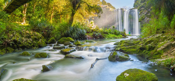 iwantthatflight.com.au - Flight Booking to New Zealand Return