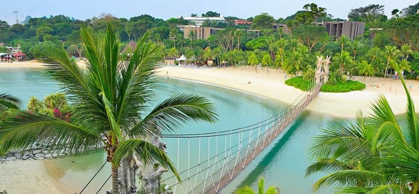 iwantthatflight.com.au logo